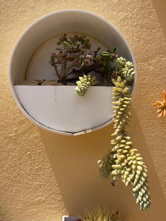 Apartmán Eco House Golfinhos Corralejo Exteriér fotografie